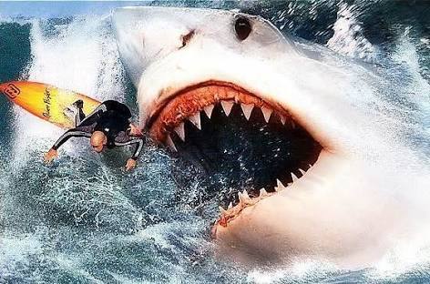 サメが大暴れ サメのゲームならこれ Hungry Shark ハングリーシャーク ワールド アプリ紹介 レビュー